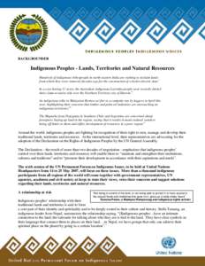 Traditional knowledge / United Nations Permanent Forum on Indigenous Issues / Indigenous peoples by geographic regions / Indigenous rights / Cultural Survival / Indigenous peoples of the Americas / First Nations / Indigenous Territory / Indigenous land rights / Americas / Intellectual property law / Declaration on the Rights of Indigenous Peoples