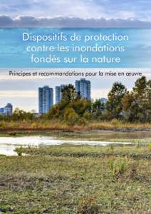 Dispositifs de protection contre les inondations fondés sur la nature Principes et recommandations pour la mise en œuvre  ©2017 Banque mondiale