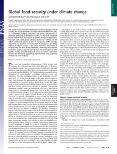 SPECIAL FEATURE  Global food security under climate change Josef Schmidhuber*† and Francesco N. Tubiello‡§ *Global Perspective Studies Unit, Food and Agriculture Organization, 00100 Rome, Italy; ‡Center for Climat