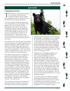 BLACK BEAR  BLACK BEAR I. Management History  T