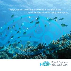 Design, construction and deployment of artificial reefs  ‫ إنشاء وتوزيع الشعاب المرجانية االصطناعية‬،‫تصميم‬ Reef Arabia Services Established in 2012 with its manufactur