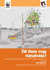 Grafika: Sibylle Vogel, WWF DCPO, készült a MAVA Alap támogatásával  Élô Duna vagy vízisztráda? Társadalmi-gazdasági megfontolások a dunai TEN-T fejlesztési tervek kapcsán Összefoglaló