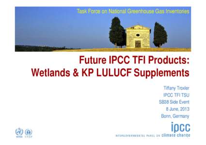 Task Force on National Greenhouse Gas Inventories  Future IPCC TFI Products: Wetlands & KP LULUCF Supplements Tiffany Troxler IPCC TFI TSU