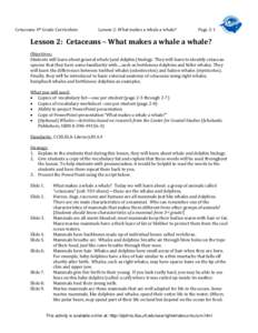 Cetaceans 4th Grade Curriculum  Lesson 2: What makes a whale a whale? Page 2-1