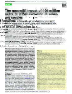 The genomic impact of 100 million years of social evolution in seven ant species