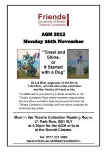 AGM 2012 Monday 26th November “Tinsel and Shine, or It Started