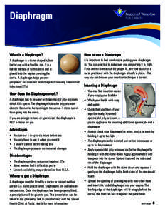 Diaphragm  What is a Diaphragm? How to use a Diaphragm