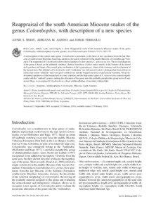 Reappraisal of the south American Miocene snakes of the genus Colombophis, with description of a new species ANNIE S. HSIOU, ADRIANA M. ALBINO, and JORGE FERIGOLO