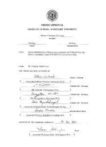 THESIS  SPECIES IDENTIFICATION OF Barbonymus gonionotus