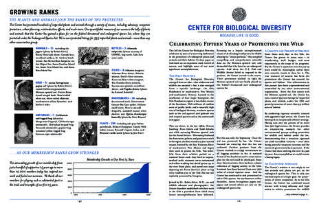 GROWING RANKS 335 PLANTS AND ANIMALS JOIN THE RANKS OF THE PROTECTED[removed]The Center has protected hundreds of imperiled plants and animals through a variety of means, including advocacy, ecosystem protection, urban pla