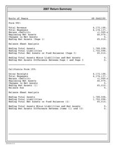 2007 Return Summary Roots of PeaceForm 990: