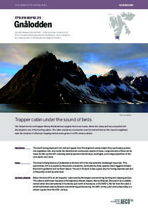 hornsund  svalbard site guidelines 80°N