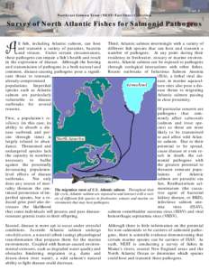 1 -of- 5 Northeast Salmon Team (NEST) Fact Sheet Collection Survey of North Atlantic Fishes for Salmonid Pathogens  A