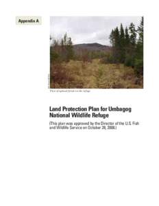 Bill Zinni/USFWS  Appendix A View of upland forest on the refuge