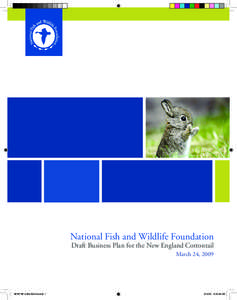National Fish and Wildlife Foundation  Draft Business Plan for the New England Cottontail March 24, 2009  NFWF NE Cotton Biz Plan.indd 1