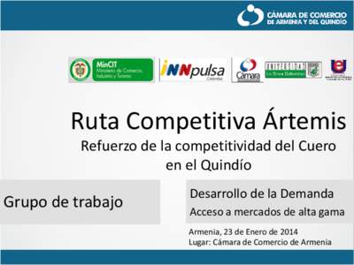 Ruta Competitiva Ártemis Refuerzo de la competitividad del Cuero en el Quindío Grupo de trabajo