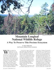 Mountain Longleaf National Wildlife Refuge Photography by Dana McReynolds  A Way To Preserve This Precious Ecosystem