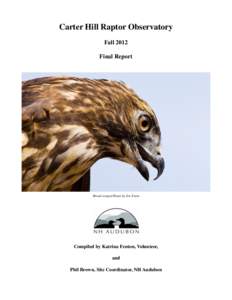 Carter Hill Raptor Observatory Fall 2012 Final Report Broad-winged Hawk by Jen Esten