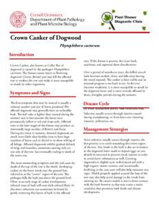 rown Canker of Dogwood C Phytophthora cactorum Introduction Crown Canker, also known as Collar Rot of
