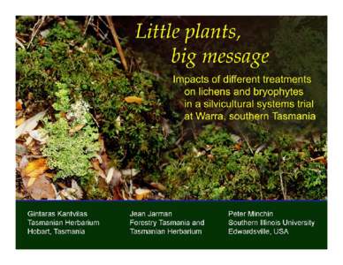 Symbiosis / Tree of life / Nephroma / Sticta / Pseudocyphellaria / Forest / Pseudocyphella / Tasmania / Lichens / Peltigerales / Biology