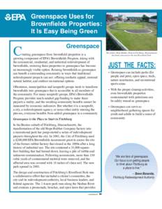 Greenspace Uses for Brownfields Properties: It Is Easy Being Green C