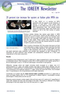 Increasing Inddustrial Resource Efficiency in European Mariculture  The IDREEM Newsletter No. 3 – Aprilpercent size increase for oysters at Italian pilot IMTA site