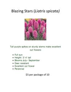 Blazing Stars (Liatris spicata)  Tall purple spikes on sturdy stems make excellent cut flowers • •