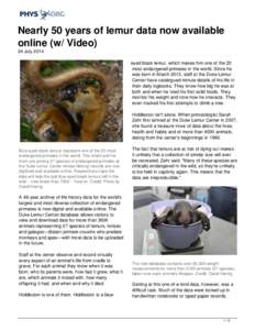 Nearly 50 years of lemur data now available online (w/ Video)