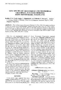 [removed]The Journal of Arachnology 25 :213—227  NEW SPECIES OF CHTHONIIDAE AND NEOBISIIDA E