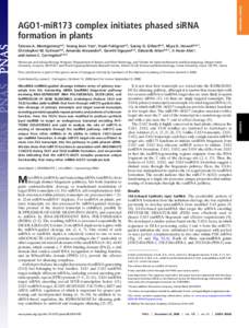 INAUGURAL ARTICLE  AGO1-miR173 complex initiates phased siRNA formation in plants Taiowa A. Montgomerya,b, Seong Jeon Yooc, Noah Fahlgrena,b, Sunny D. Gilbertb,d, Miya D. Howellb,d,1, Christopher M. Sullivanb,d, Amanda A