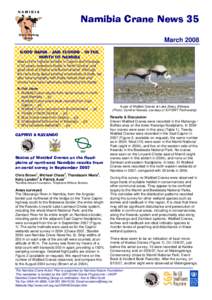 March 2008 News of the highest rainfalls in Caprivi and Kavango in 50 years; extensive floods in North Central; and good rains at Etosha and Bushmanland. Although the rains bring about exciting movements of birds, we als