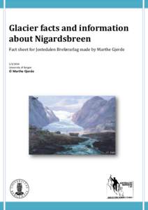 Glacier facts and information about Nigardsbreen