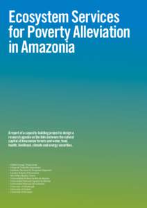 Ecosystem Services for Poverty Alleviation in Amazonia A report of a capacity-building project to design a research agenda on the links between the natural