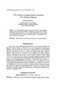 Bull. Kitakyushu Mus. Nat. Hist., 9: [removed]December 31, 1989  A New Species of Agama (Sauria: Agamidae)