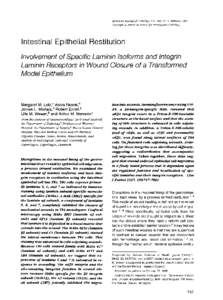 American Journal of Pathology, Vol. 150, No. 2, Febnrary 1997 Copynight © American Society for Investigative Pathology Intestinal Epithelial Restitution Involvement of Specific Laminin Isoforms and Integrin Laminin Rece