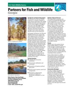 Pinus palustris / Partners for Fish and Wildlife / San Joaquin River National Wildlife Refuge / Conasauga logperch / Flora of the United States / Gopher tortoise / Gopherus