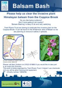 Balsam Bash Please help us clear the invasive plant Himalayan balsam from the Coppice Brook Do you like being outdoors? Don’t mind getting a bit muddy? ‘Balsam Bashing’ is easy to do and very satisfying