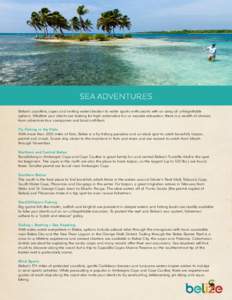 Sea Adventures Belize’s coastline, cayes and inviting waters beckon to water sports enthusiasts with an array of unforgettable options. Whether your clients are looking for high-adrenaline fun or seaside relaxation, th