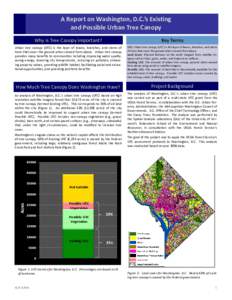 A Report on Washington, D.C.’s Existing and Possible Urban Tree Canopy Why is Tree Canopy Important? Key Terms