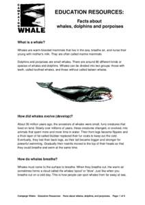 EDUCATION RESOURCES: Facts about whales, dolphins and porpoises What is a whale? Whales are warm-blooded mammals that live in the sea, breathe air, and nurse their