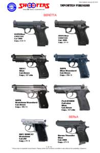Date Updated: January 28, 2013  GUNS AMMO CORPORATION