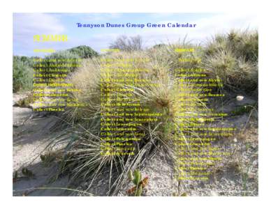 Tennyson Dunes Group Green Calendar  SUMMER DECEMBER  JANUARY
