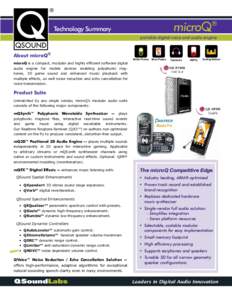 microQ®  Technology Summary portable digital voice and audio engine