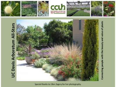 Special thanks to Ellen Zagory for her photography.  Connecting people with the beauty and value of plants UC Davis Arboretum All-Stars