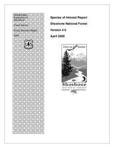 Grouse / Centrocercus / Ovis / Sage Grouse / Shoshone National Forest / Bighorn sheep / Artemisia tridentata / Northern Goshawk / National Bighorn Sheep Interpretive Center / Flora of the United States / Western United States / Wyoming