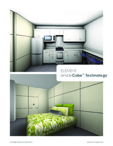 ELEMENT and i-Cube™ Technology Ice Edge Business Solutions  www.ice-edge.com