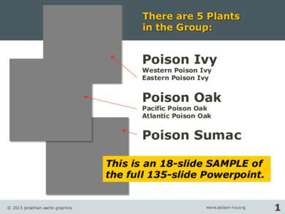 There are 5 Plants in the Group: Poison Ivy Western Poison Ivy Eastern Poison Ivy