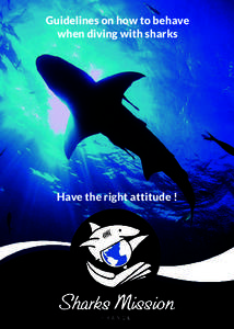 Guidelines on how to behave when diving with sharks Have the right attitude !  Man has always been fascinated by big predators.