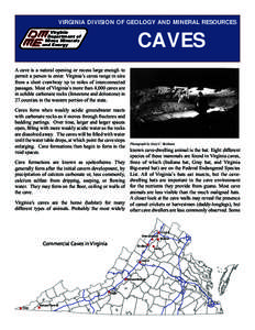 VIRGINIA DIVISION OF GEOLOGY AND MINERAL RESOURCES  CAVES Virginia Department of