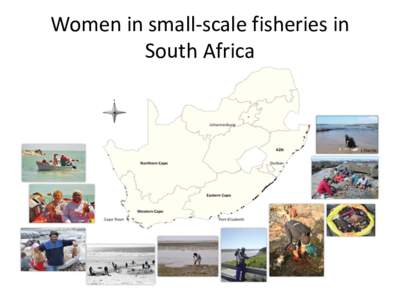 Women in small-scale fisheries in South Africa Context of the fisheries in SA • Coastline of 3000 km, main industry in the west • Lobster, line fish and pelagic such as anchovy